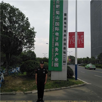 蜀山电子产业园 